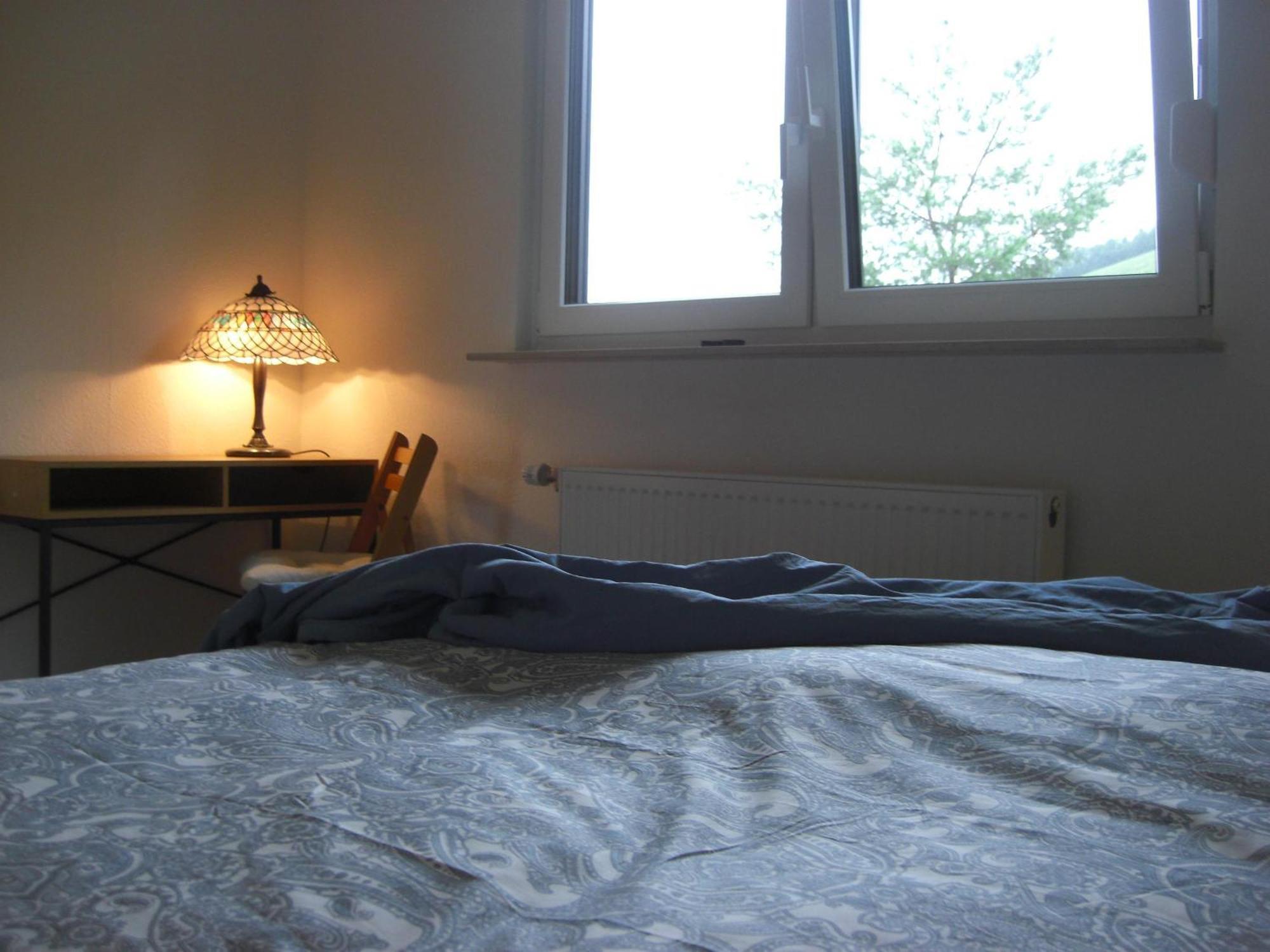 Ferienwohnung Alter Weinberg Saarburg Εξωτερικό φωτογραφία